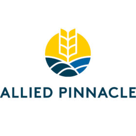 BITA Sponsor - Allied Pinnacle Logo